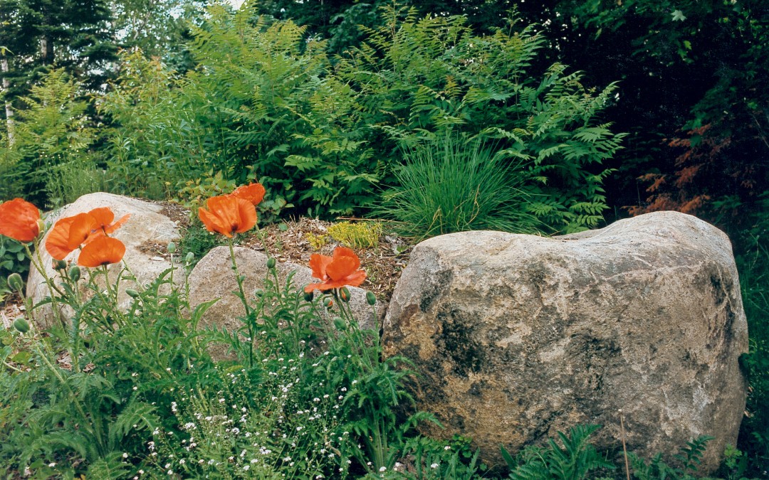11 St Adèle Simonetta ensemble végétaux printemps